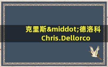 克里斯·德洛科 Chris.Dellorco 美国艺术家